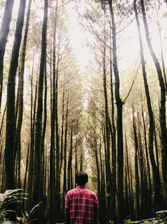Un outil numérique au service des acteurs de la filière